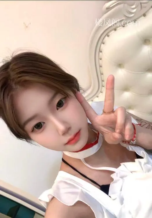 全国免费楼凤资源