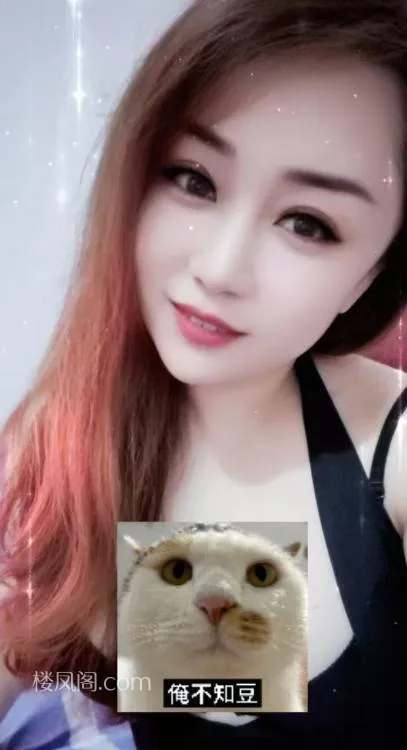 全国免费楼凤资源