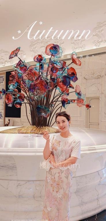 全国免费楼凤资源