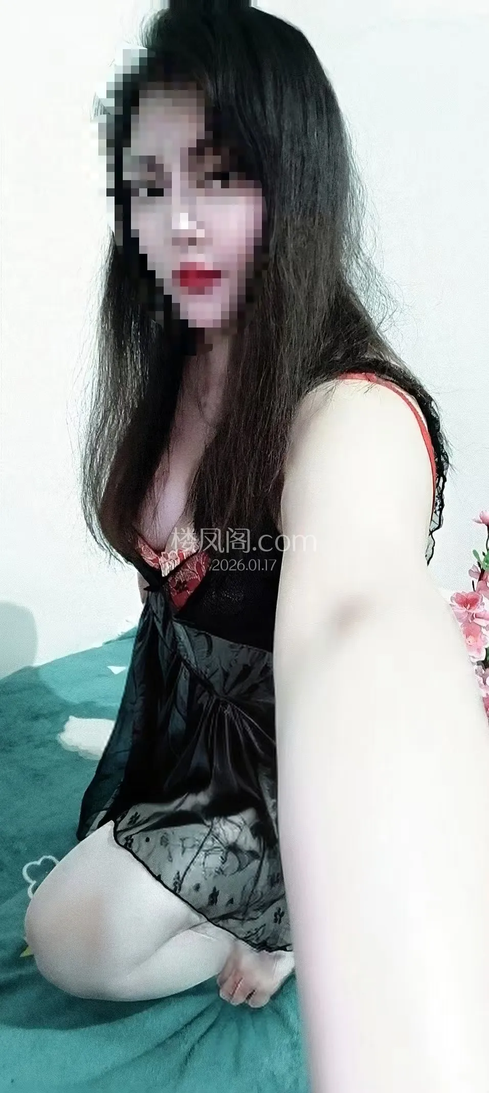 全国免费楼凤资源