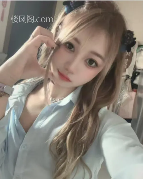 全国免费楼凤资源