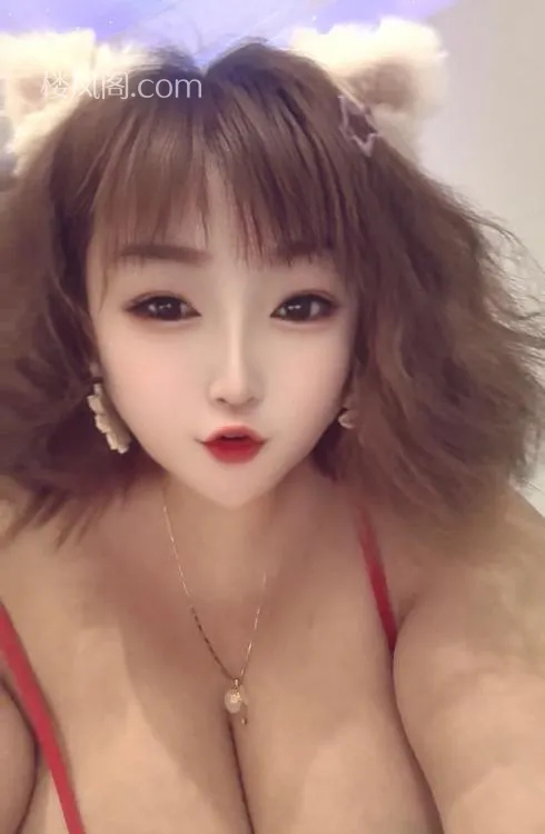 全国免费楼凤资源