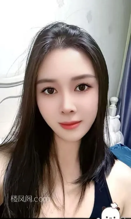 全国免费楼凤资源