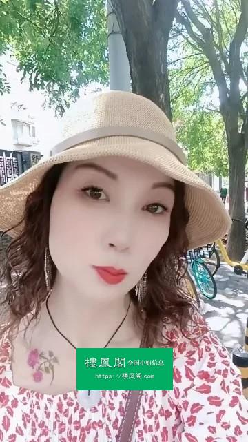 全国免费楼凤资源