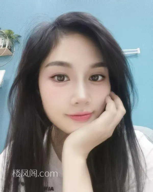 全国免费楼凤资源