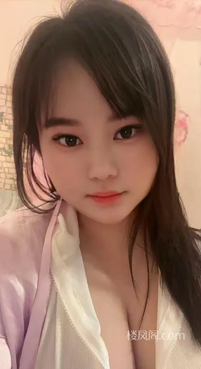 全国免费楼凤资源