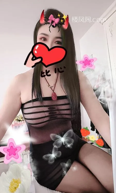 全国免费楼凤资源