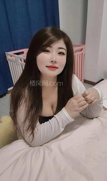 全国免费楼凤资源