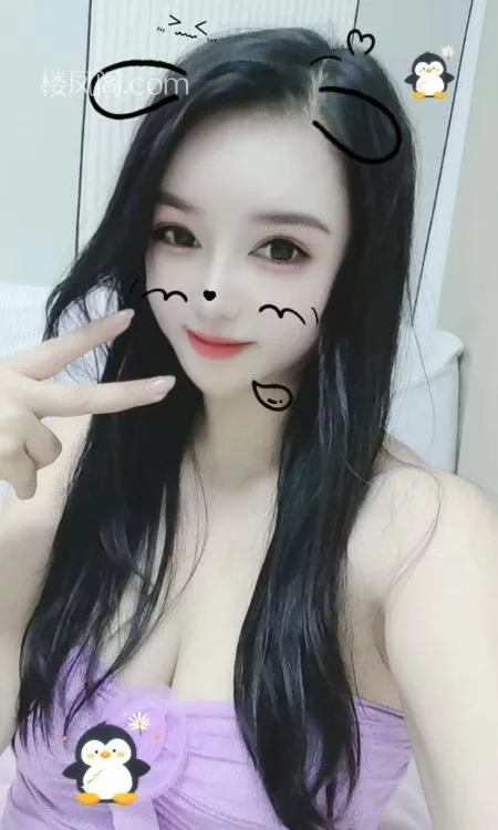 全国免费楼凤资源