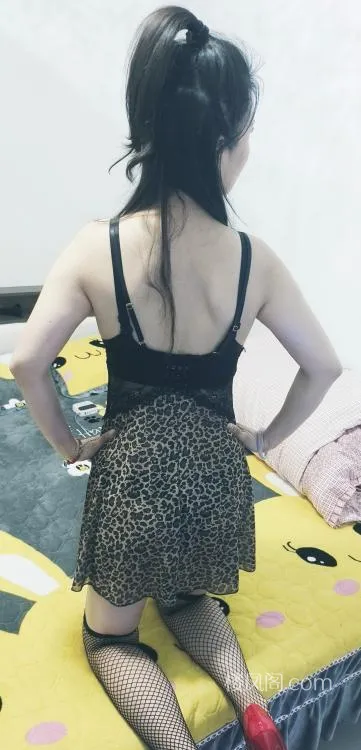 全国免费楼凤资源