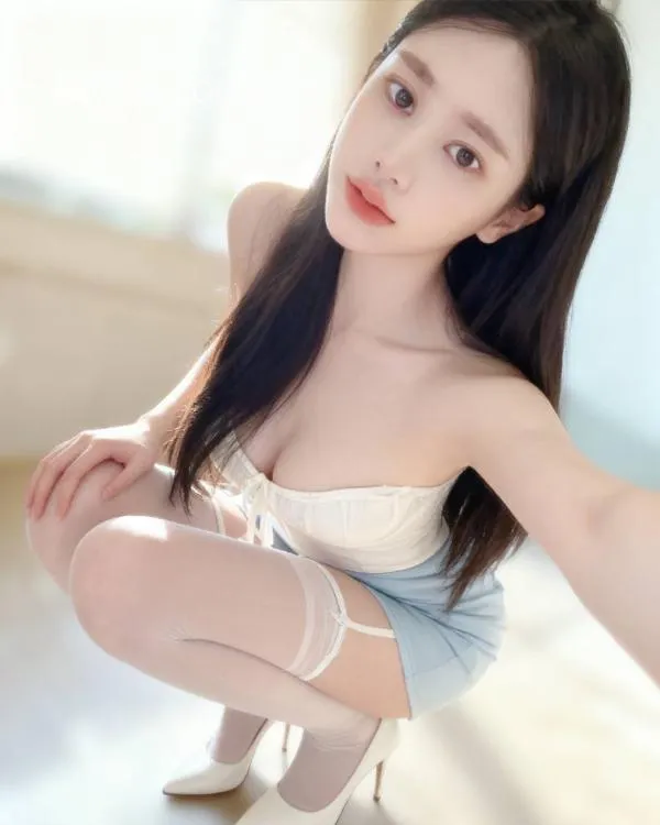 全国免费楼凤资源