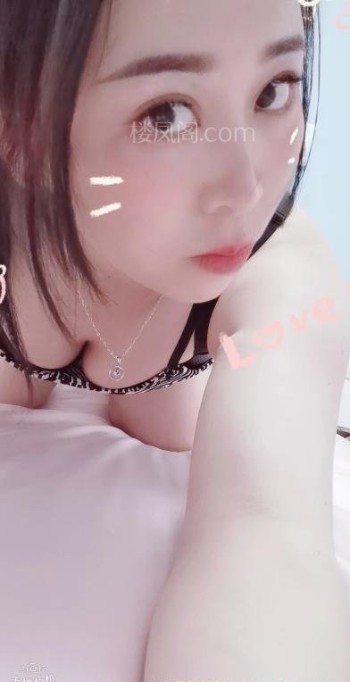 全国免费楼凤资源