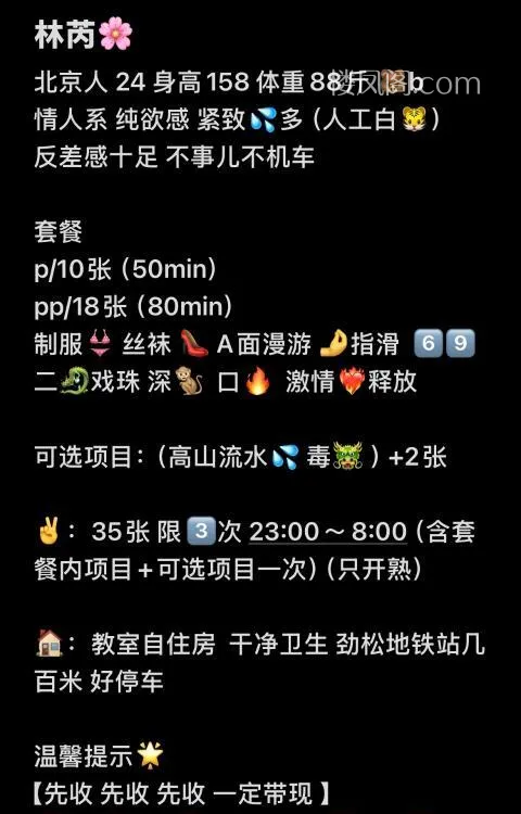 全国免费楼凤资源