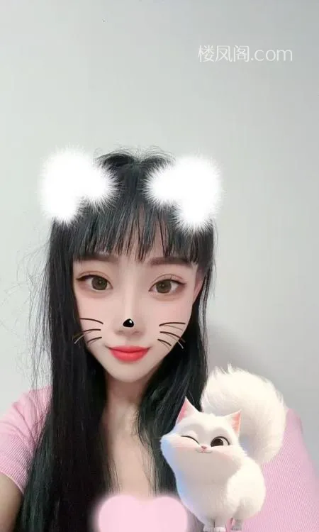 全国免费楼凤资源