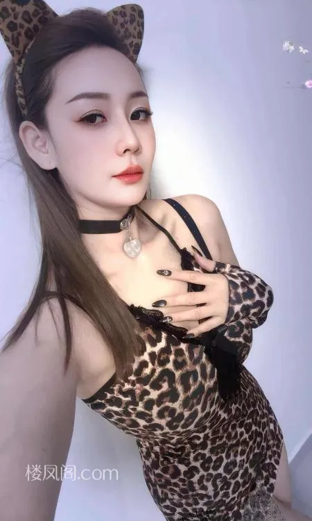 全国免费楼凤资源