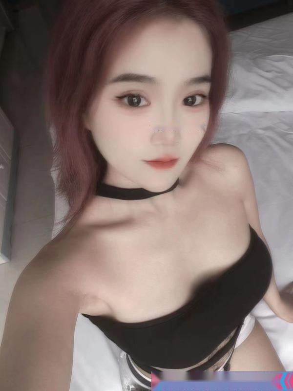 全国免费楼凤资源