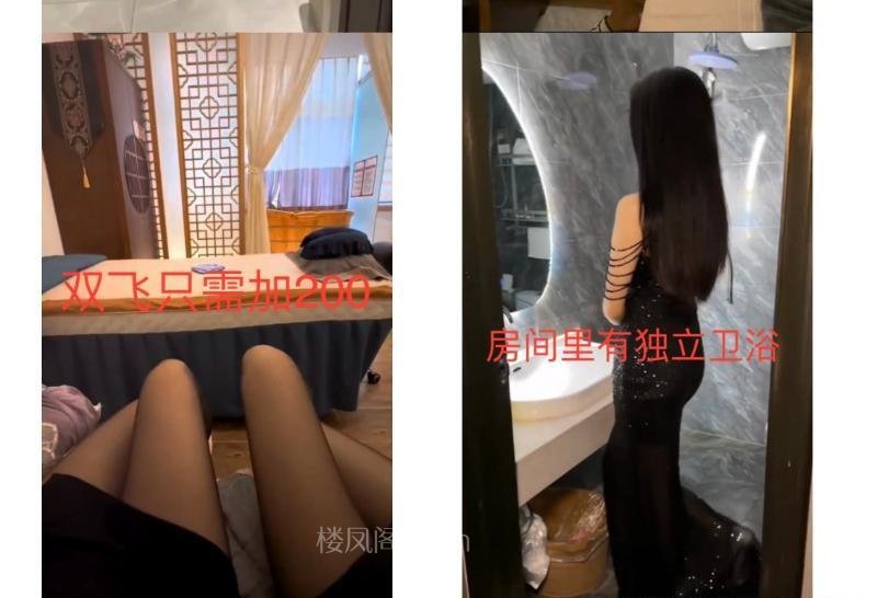 全国免费楼凤资源