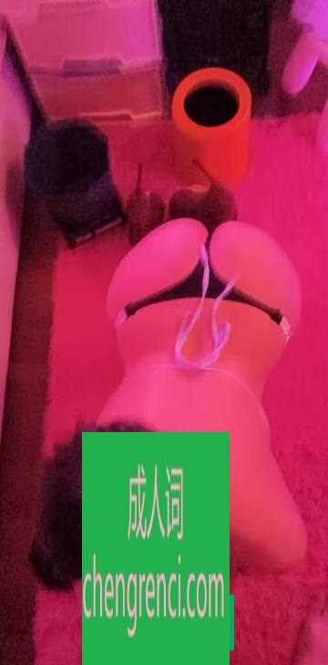 全国免费楼凤资源