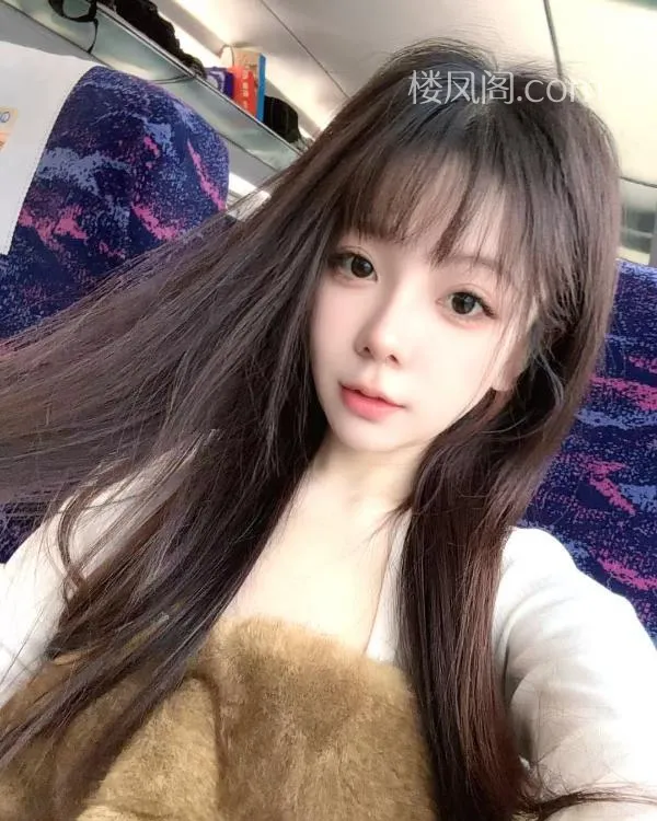 全国免费楼凤资源