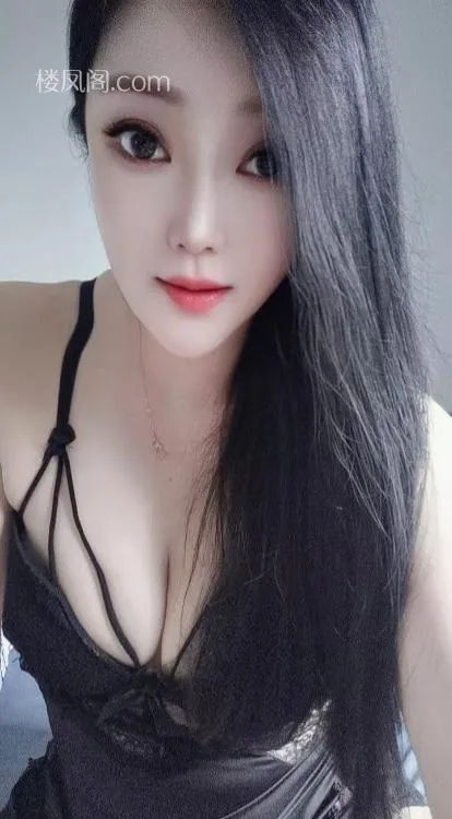 全国免费楼凤资源