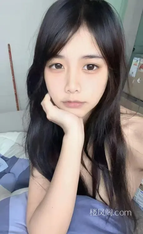 全国免费楼凤资源