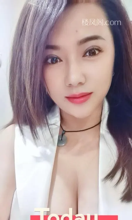 全国免费楼凤资源