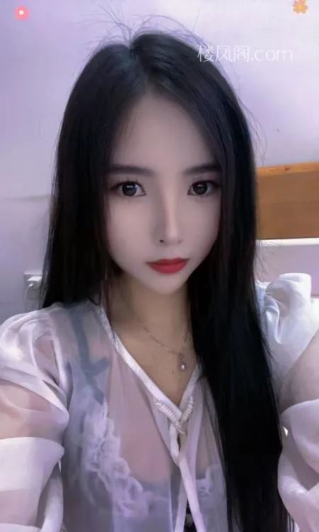 全国免费楼凤资源