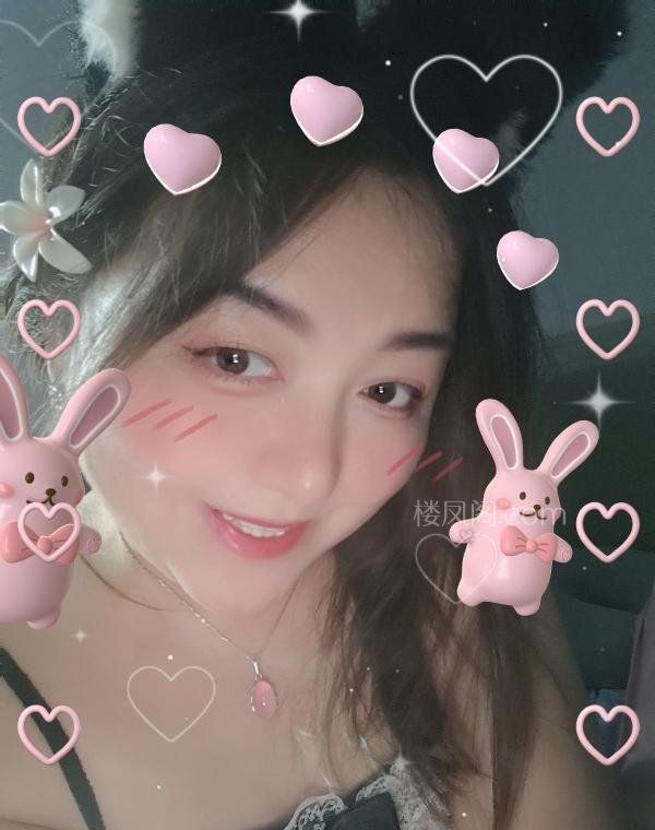 全国免费楼凤资源