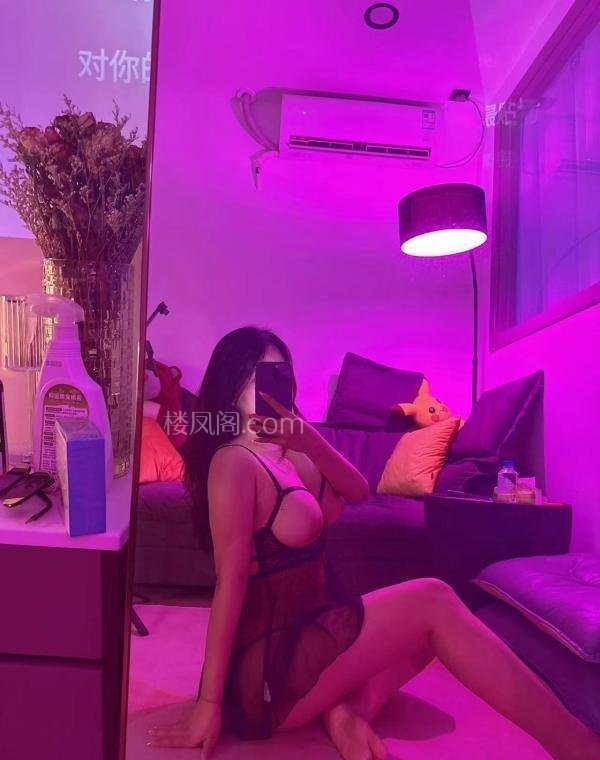 全国免费楼凤资源