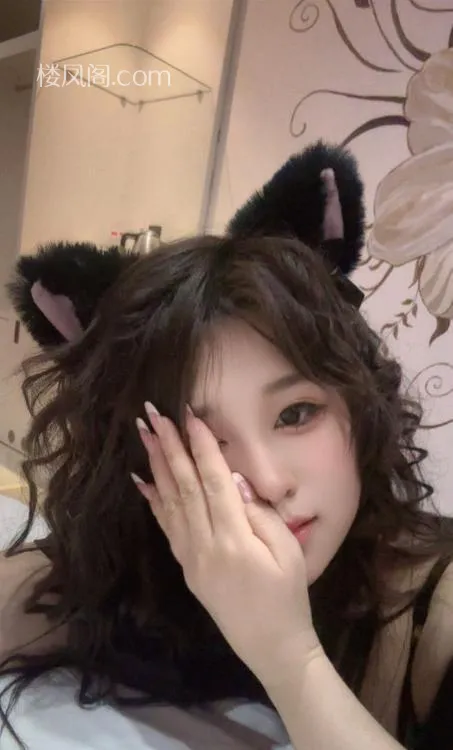 全国免费楼凤资源