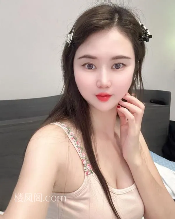 全国免费楼凤资源