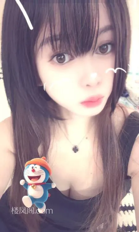 全国免费楼凤资源