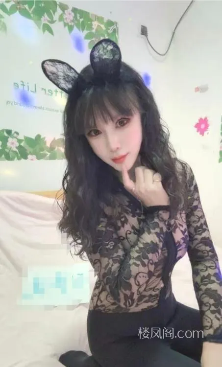 全国免费楼凤资源