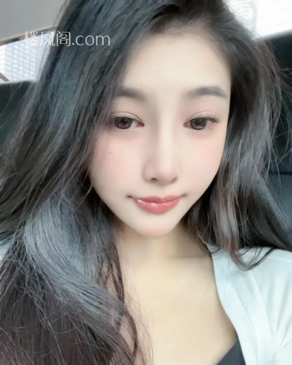 全国免费楼凤资源