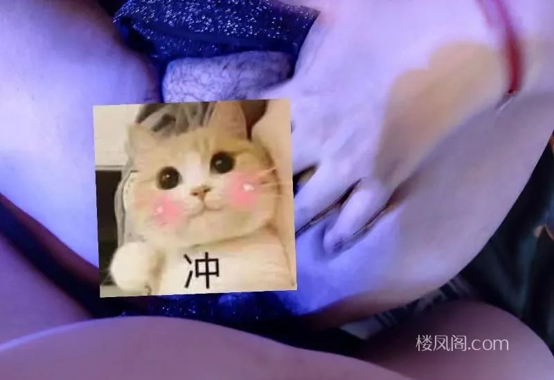 全国免费楼凤资源