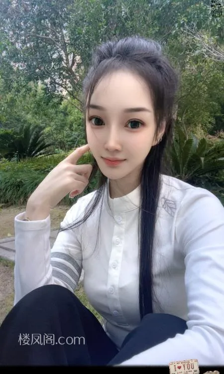 全国免费楼凤资源