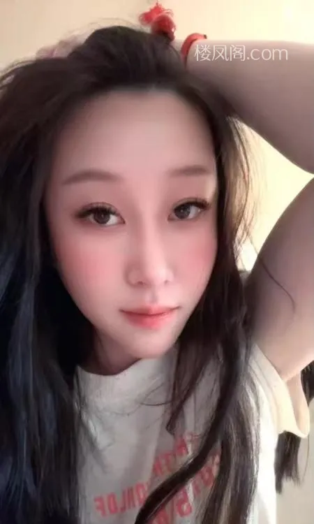 全国免费楼凤资源