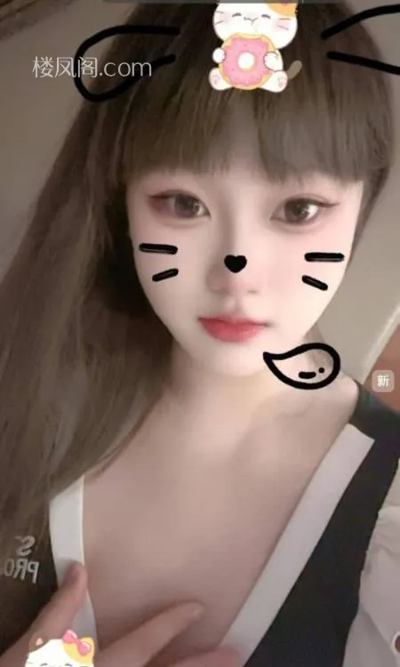 全国免费楼凤资源