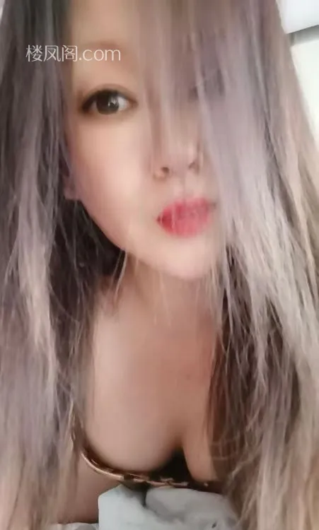 全国免费楼凤资源