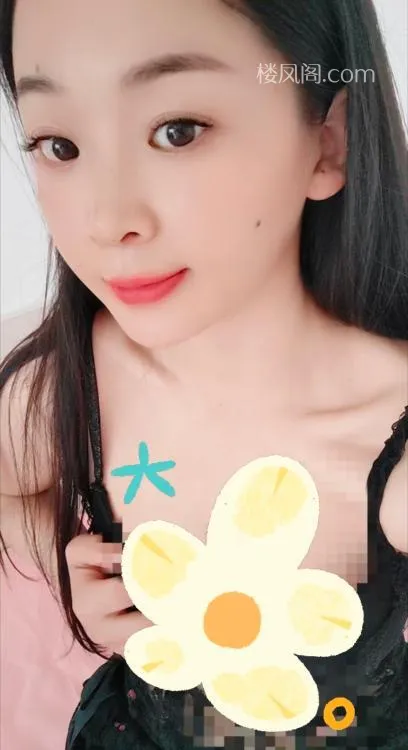 全国免费楼凤资源