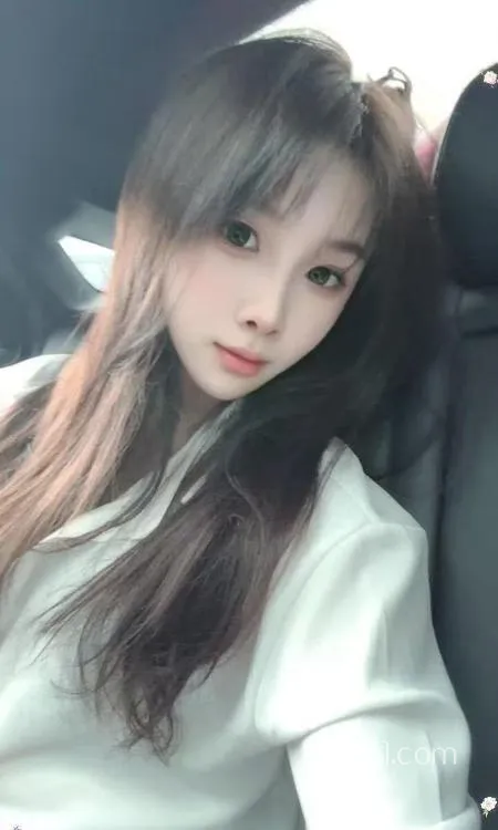 全国免费楼凤资源