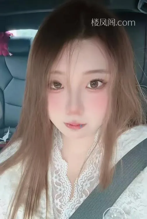 全国免费楼凤资源