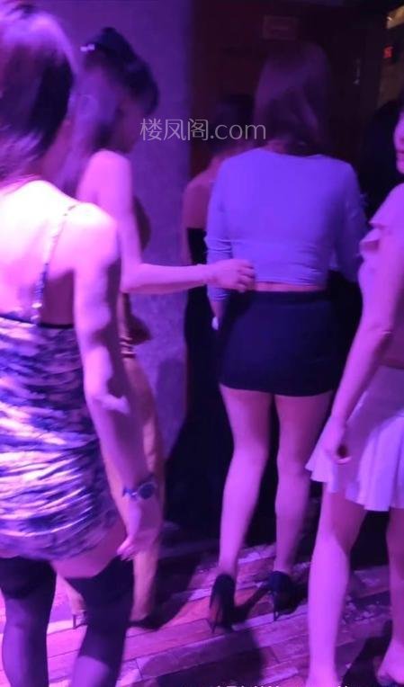 全国免费楼凤资源