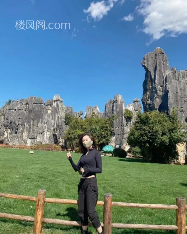 全国免费楼凤资源