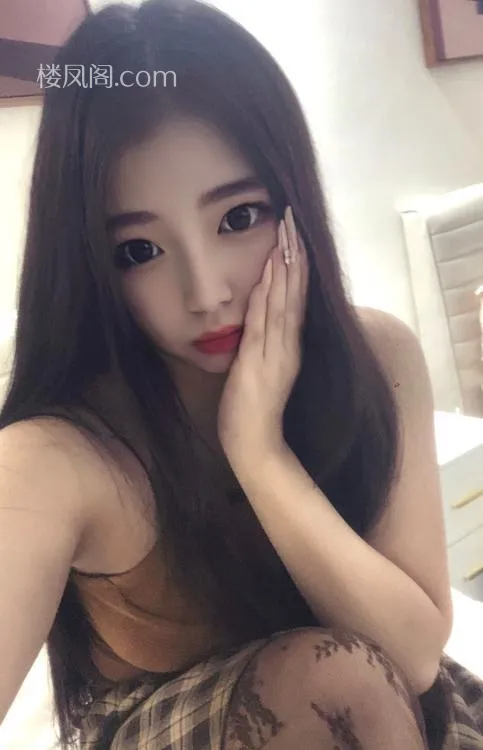 全国免费楼凤资源