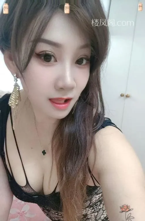 全国免费楼凤资源