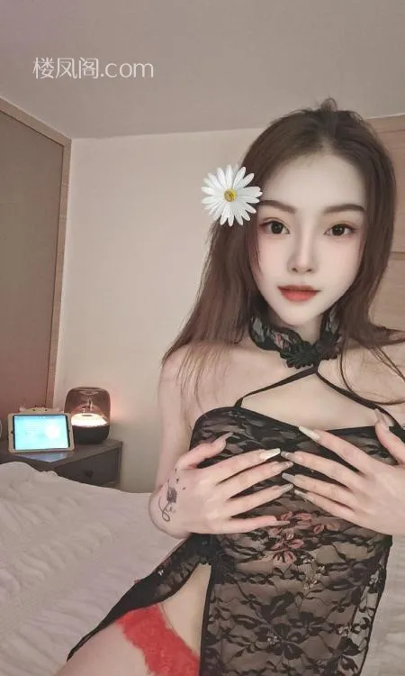 全国免费楼凤资源