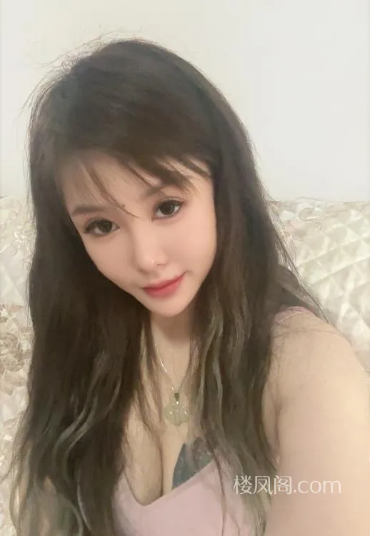 全国免费楼凤资源