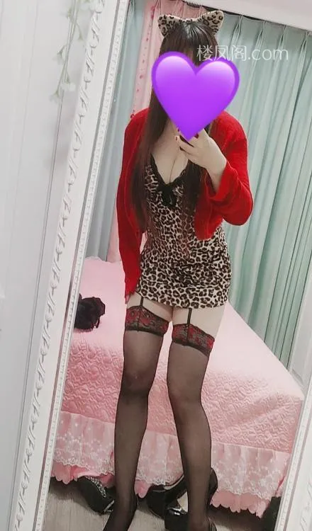 全国免费楼凤资源