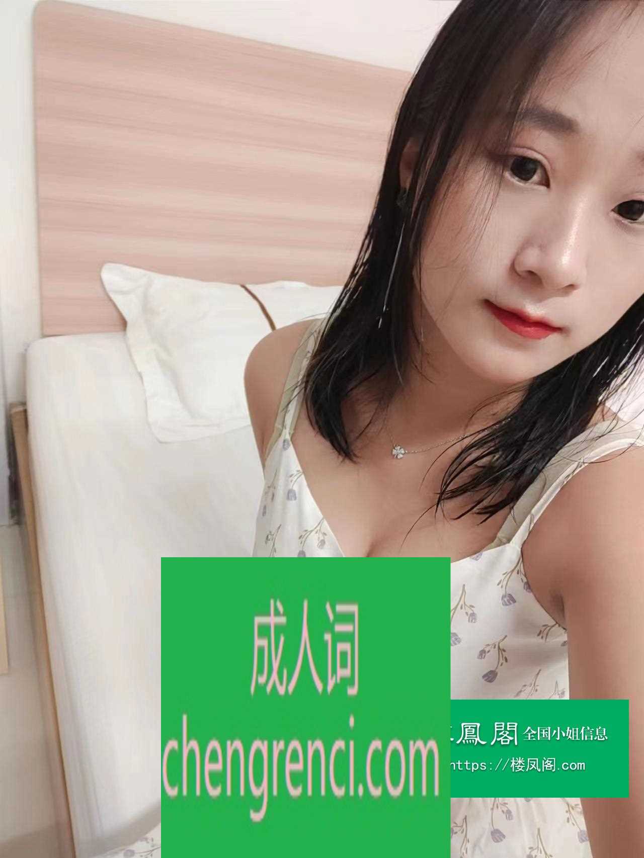 全国免费楼凤资源